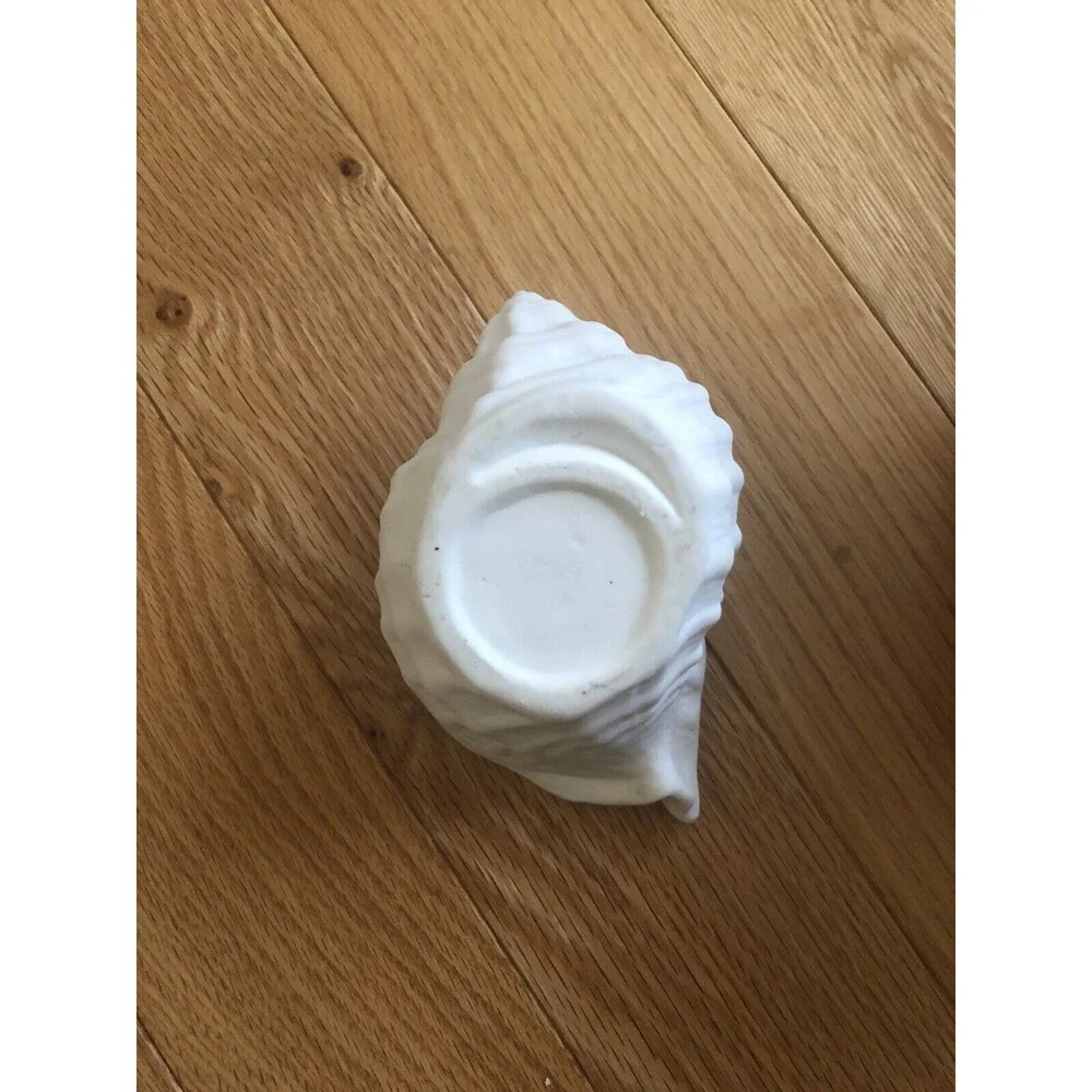 Ceramic Conch Sea Shell‎ Planter with Decorative Gift Box